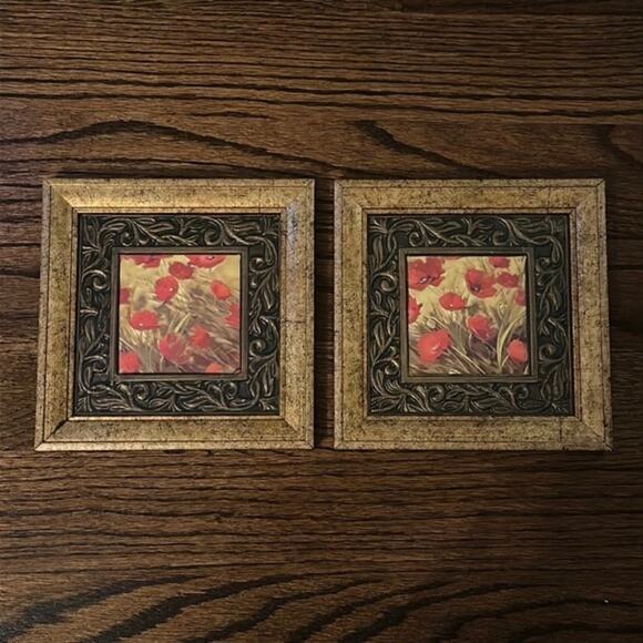 Two Gorgeous 7.5x7.5 Prints of Poppies - Picture 1 of 3